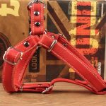 Упряжка, шлейка для собак из натуральной кожи. Плотная тесьма внутри — изображение 4