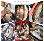 Рыболовная Кормовая приманка, ароматическая приманка для рыбы, пищевая добавка, Наживка для рыб. — изображение 4