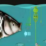 Универсальная рыболовная оснастка для донной ловли с подвесными крючками - ваш надежный помощник на рыбалке! — изображение 2