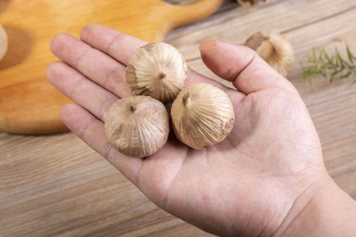 Императорский Черный Чеснок 250г / Элитный Ферментированный Grade A 120 Дней — изображение 6