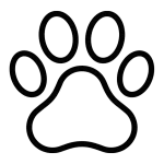 Товары для животных